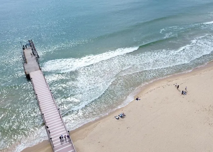 Gallery * סאני ביץ'