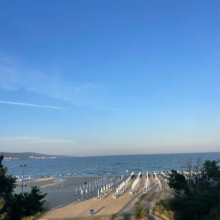Gallery Sunny Beach